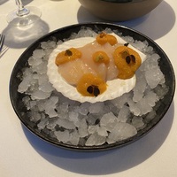 Дальневосточный морской гребешок с морошкой, щучьей икрой и страчателлой с хреном