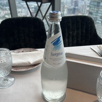 Вода Surgiva 0.75 б/г