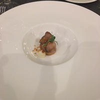 Кролик (комплемент)